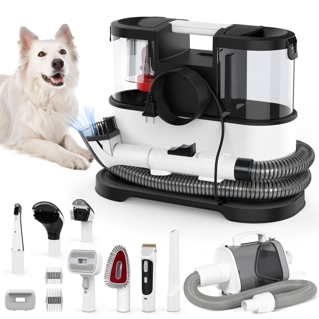 Dog Grooming – Keep Your Pup Looking & Feeling Fresh