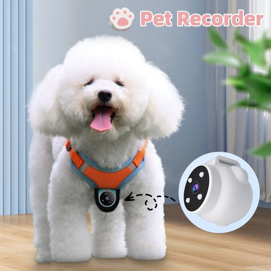 Pet Recorder – Stay Connected Even When You’re Away
