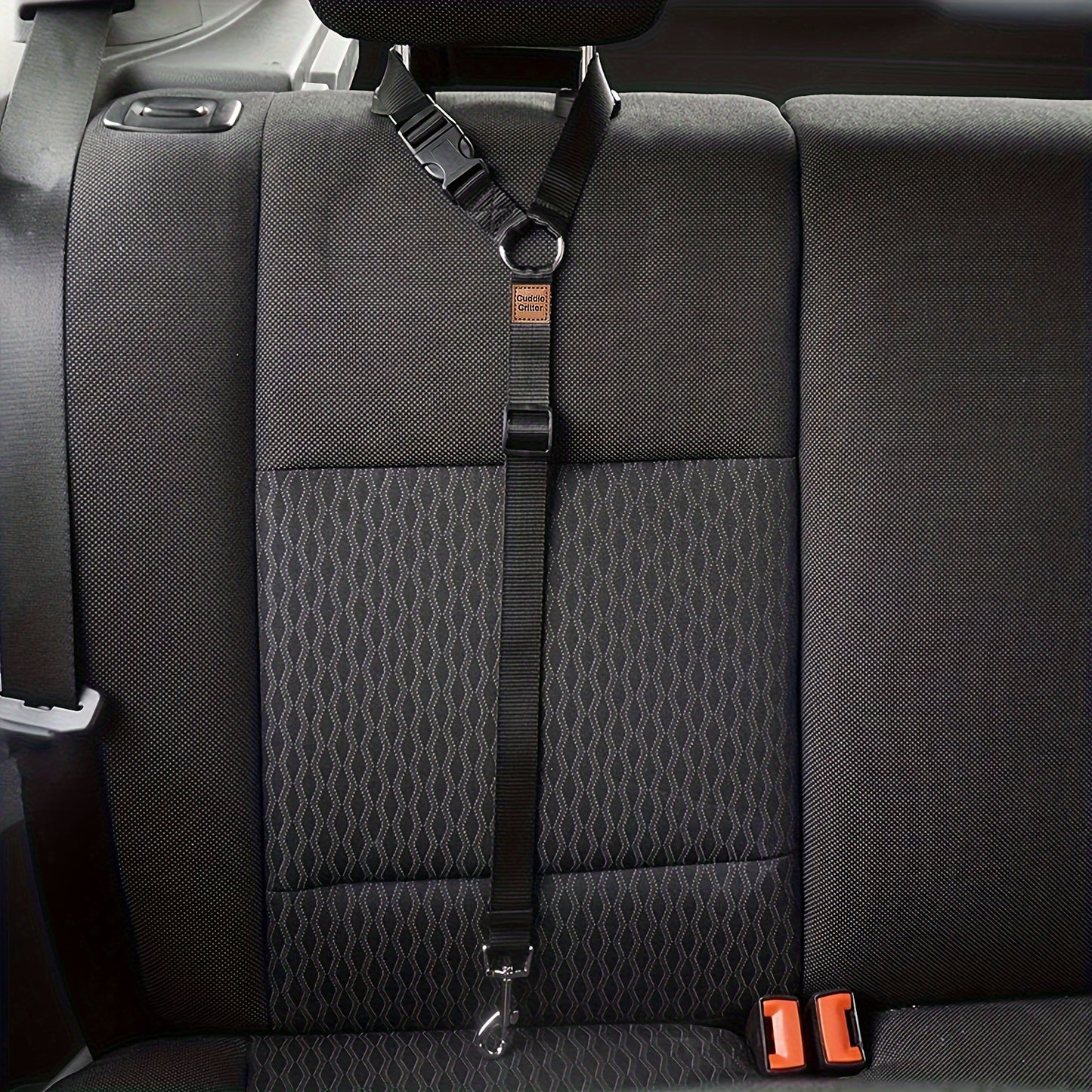 Dog Leash-Pet Leash