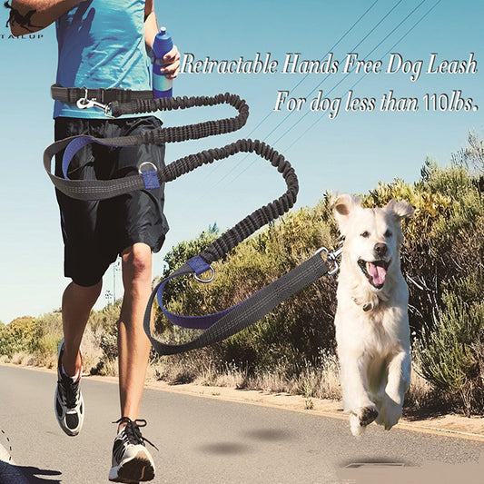 ChatGPT said: Dog Leash – Multifunctional Reflective & Elastic