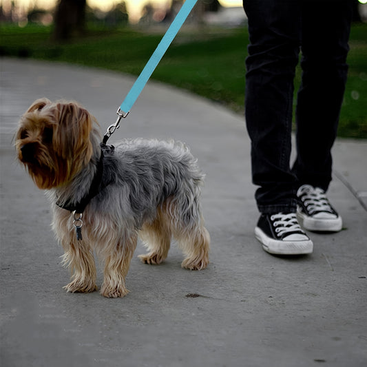 Dog Leash-Pet Leash