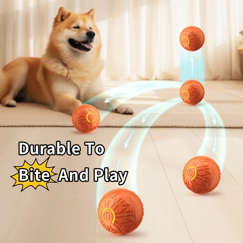 Electric Jumping Dog Toy – Ball Trainer